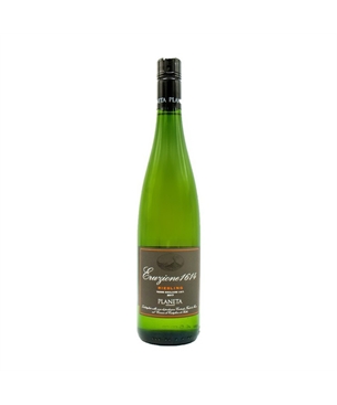 planeta-eruzione-1614-riesling-2020