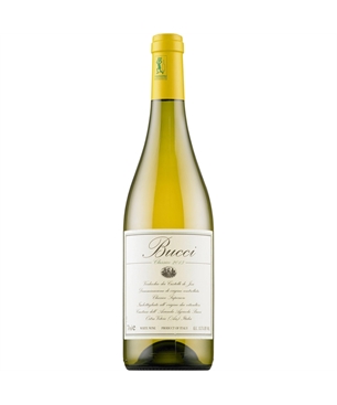 bucci-verdicchio-dei-castelli-di-jesi-classico-superiore-2021