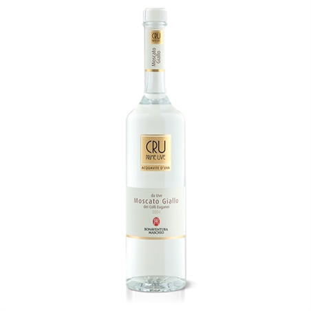 moscato_giallo