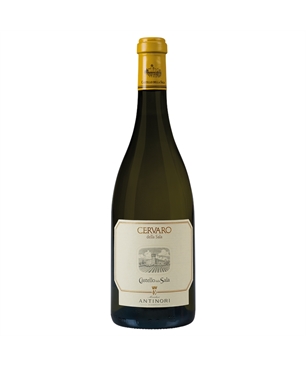 Bottiglia-_0033_CERVARO_2020