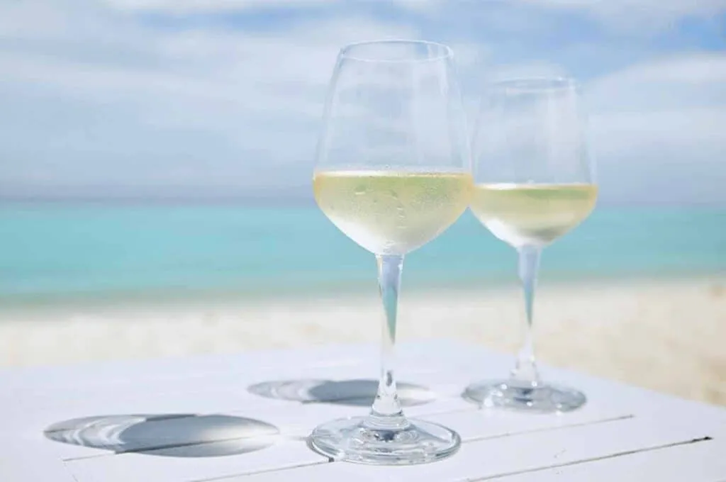 What-Makes-Torrontes-Wine-Different-1024x680.webp