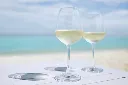 What-Makes-Torrontes-Wine-Different-1024x680.webp
