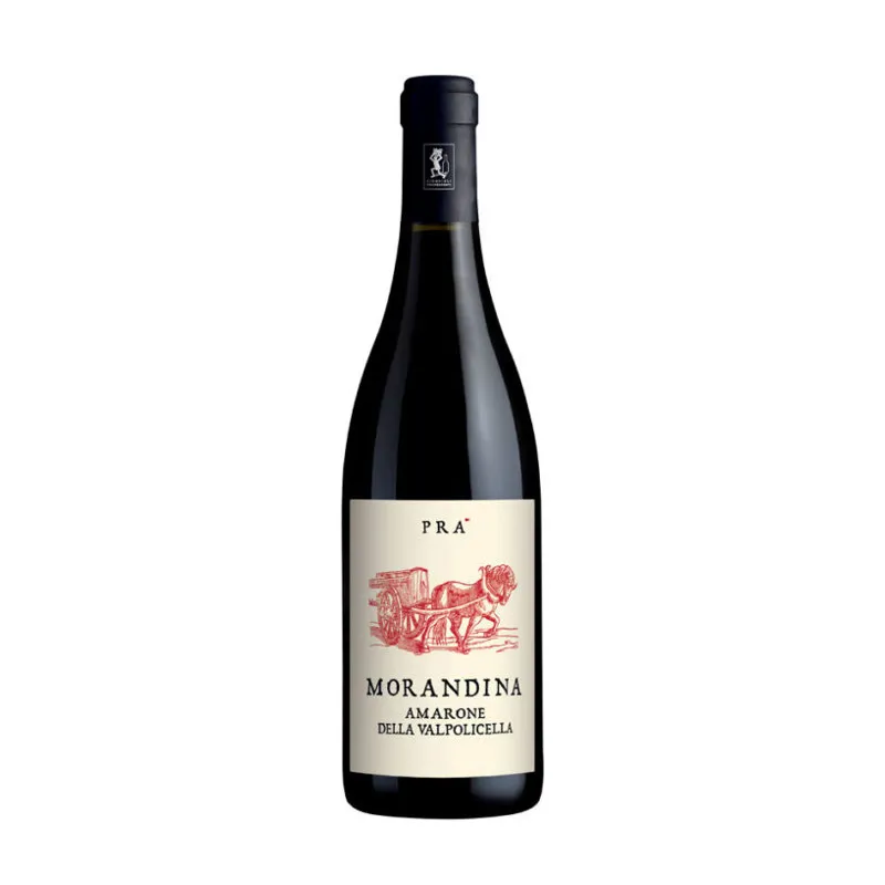 [02939] Amarone della Valpolicella DOCG Morandina 2021 Graziano Prà