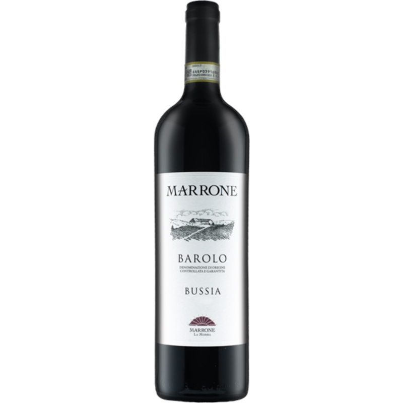 [02602] Barolo Bussia DOCG 2020 Marrone