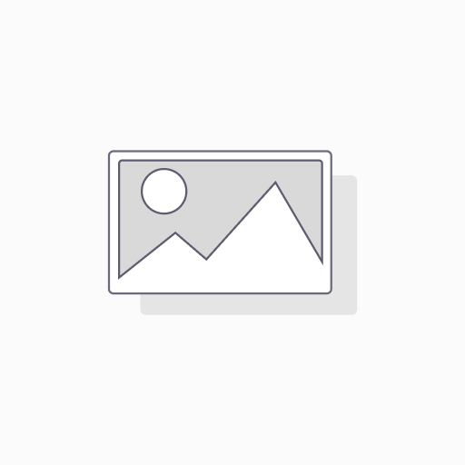 Birra Artigianale Italian Grape Ale Etichetta Nera Sangiovese Felsina 0,375 L