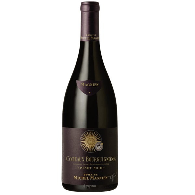 [01600] Borgogna Coteaux Bourguignons Pinot Nero 2020 Appelletions Regional Michel Magnien