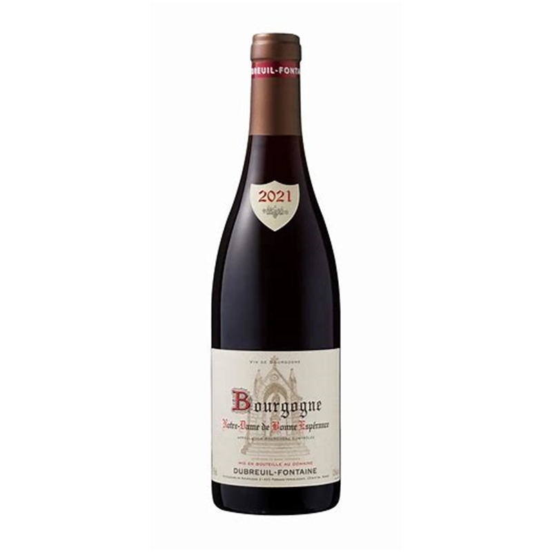 [00733] Borgogna Dubreil Fontaine Pinot Nero 2018