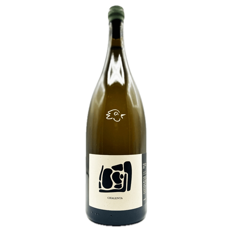[02739] Chardonnay Chalenta Côtes d'Auvergne AOC 2022 Les Terres Bariolees