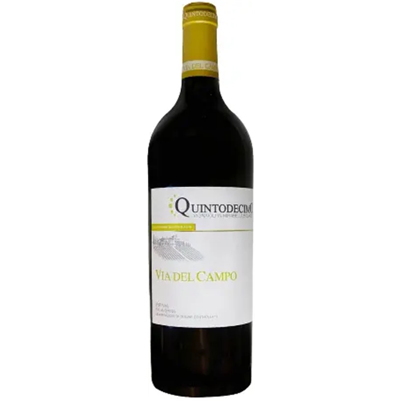 [02783] Falanghina Irpinia Via del Campo 2024 Quintodecimo