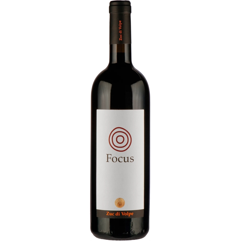 [02262] Focus Zuc Di Volpe merlot Volpe Pasini 2013