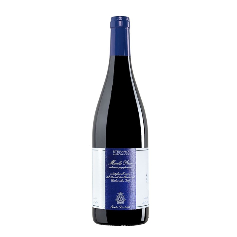 Marche Rosso Montepulciano Stefano Antonucci 2011