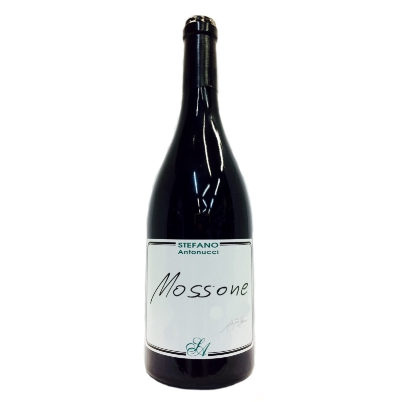 [02007] Mossone Stefano Antonucci 2014