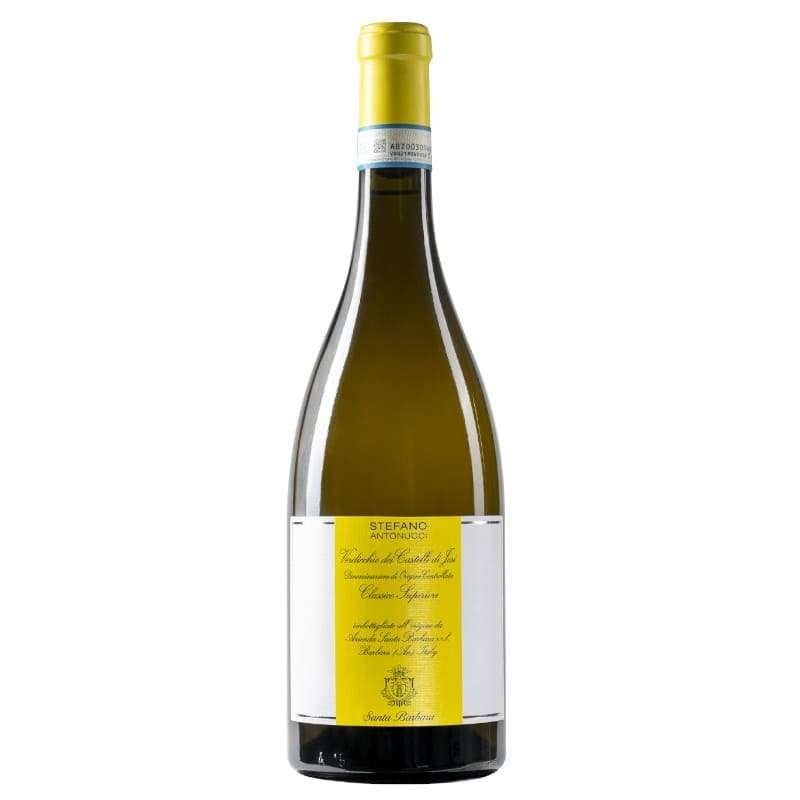[02009] Santa Barbara Verdicchio di Jesi Superiore Stefano Antonucci 2019
