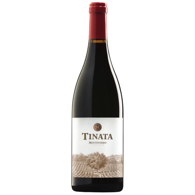 Tinata Monteverro 2013