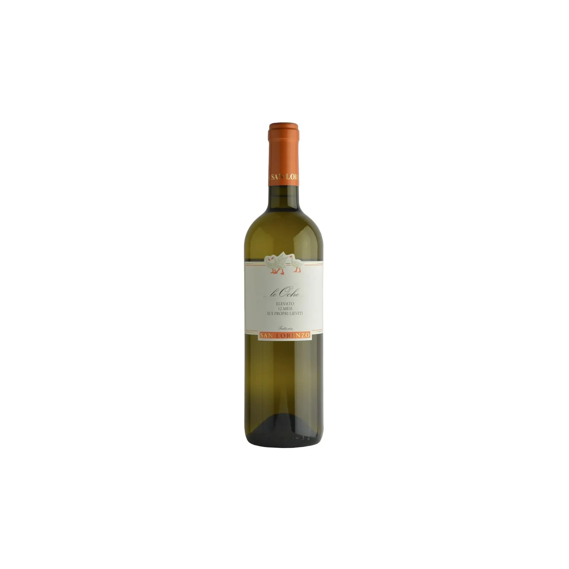 [02923] Verdicchio Le Oche Marche IGT Elevato 12 Mesi Sui Propri Lieviti 2024 Fattoria San Lorenzo