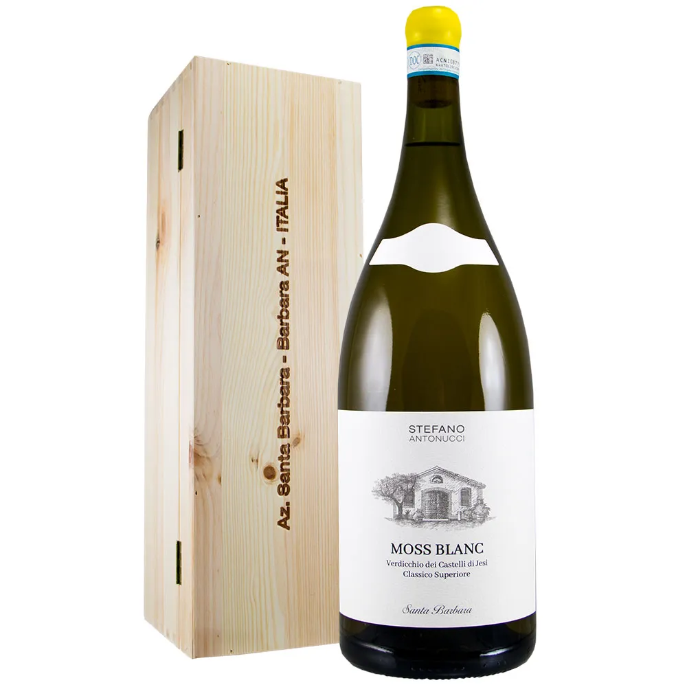[02958] Verdicchio dei Castelli di Jesi Classico Superiore Moss Blanc 2023 Stefano Antonucci Jeroboam 3 Litri