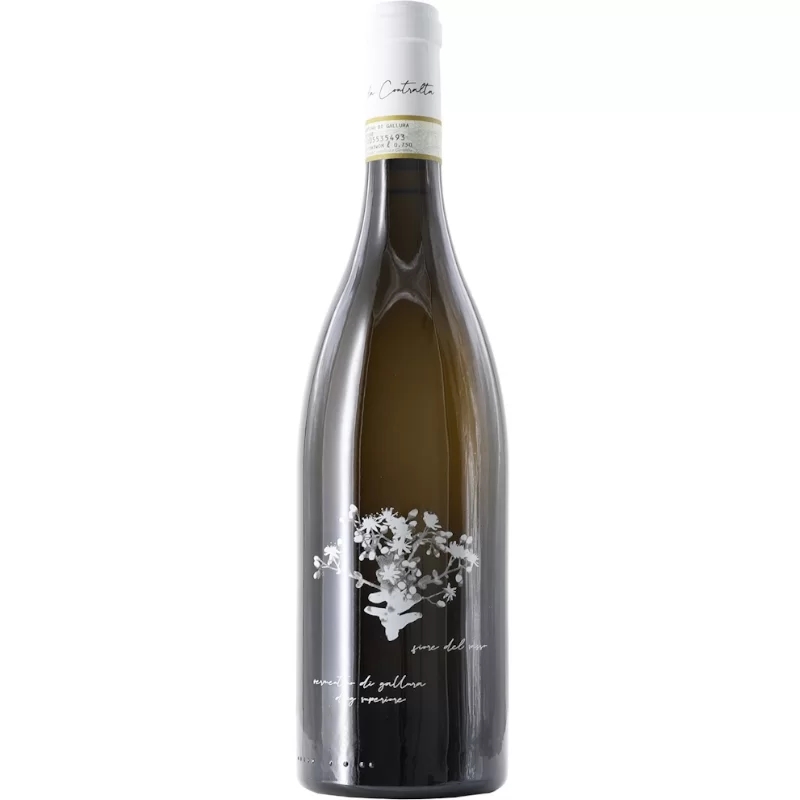 [01276] Vermentino di Gallura Fiore del Sasso 2021 La Contralta