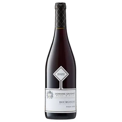 [03005] Pinot Nero Borgogna 2022 Domaine Gavignet